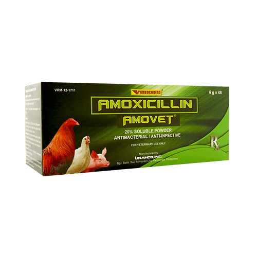 amovet - treatment for sinusitis and CRD treatment in gamefowl