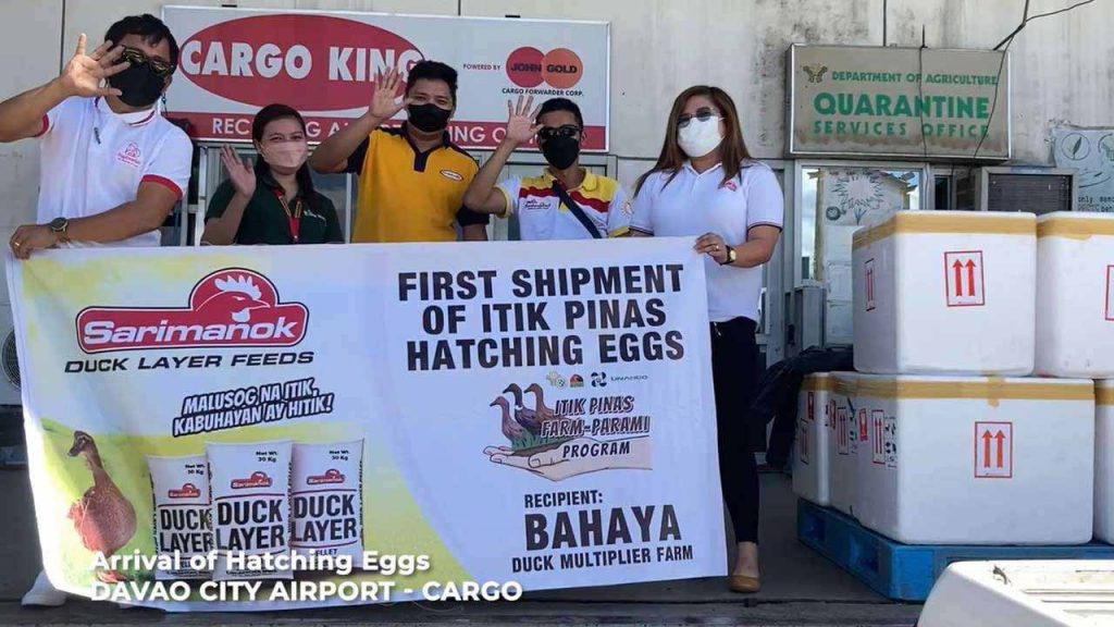 Ang unang shipment ng mga hatching eggs para sa Itik PInas Farm Parami Program ay naipadala mula NSPRDC patungong Davao City at papunta sa Bahaya Duck Multiplier Farm