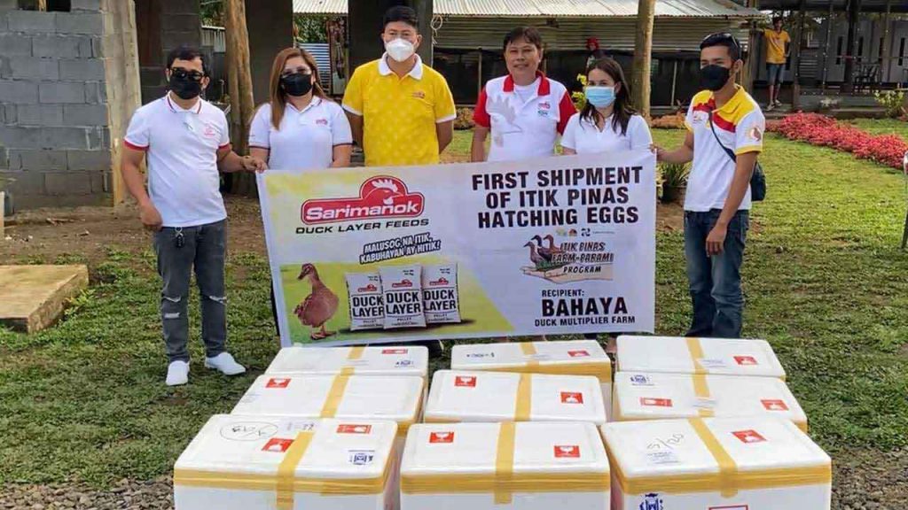 Ang Bahaya Duck Multiplier Farm sa Davao City na unang recipient ng hatching eggs ng Itik Pinas