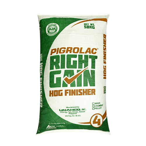 Pigrolac Right Gain Hog Finisher feeds for pigs with ages 121 – 150 days