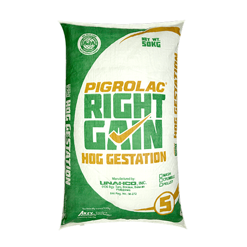 pigrolac right gain hog lactation feeds