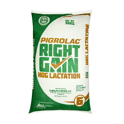 Pigrolac Right Gain Hog Lactation feeds for lactating pigs and swine