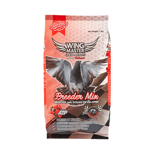 wingmaster breeder mix and feeds for pigeon